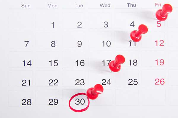 calendar Calendar
